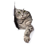 Sticker Toilette<br> Patte Chat Gris Tigré 3D