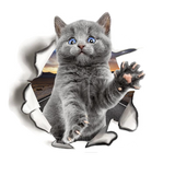 Sticker Toilette<br> Chat Gris 3D